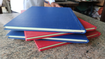 Account Ledgers